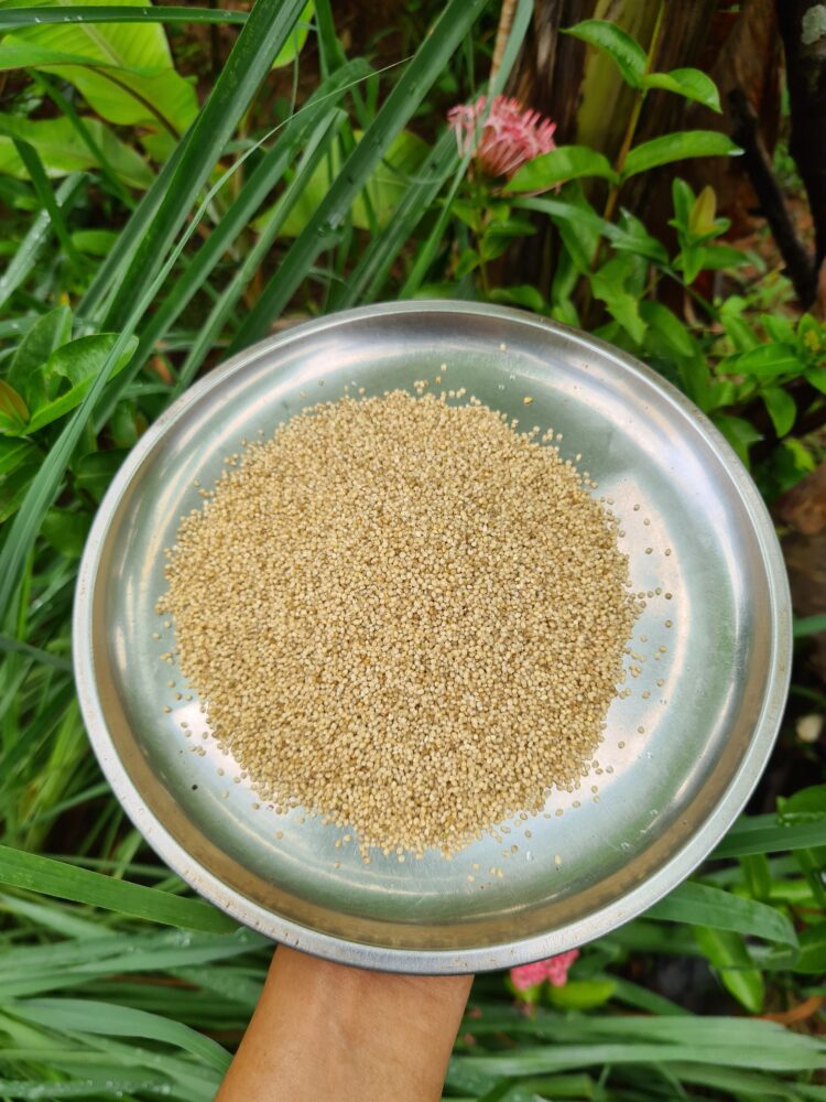 20210904_1111038122848614610712874